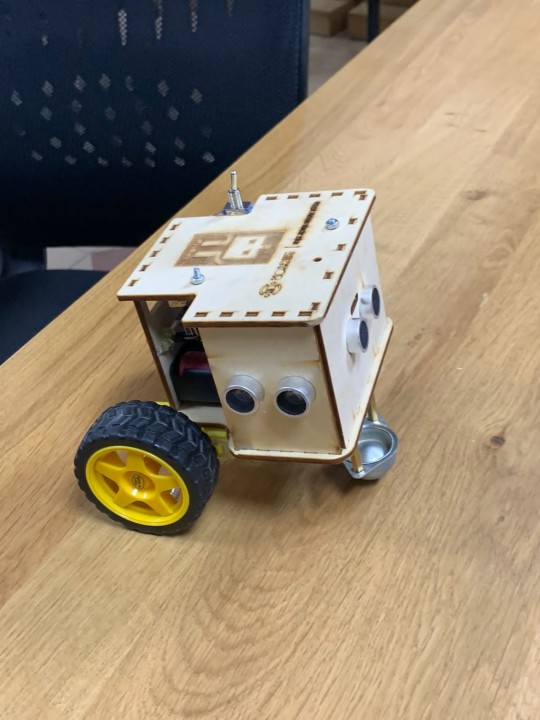 Maze-Solver Robot: pi-bot